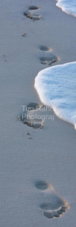 Footprints & Foam