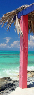 Tropical Tiki